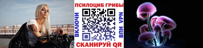 Псилоцибиновые грибы Cubensis  площадка какой сайт  Калининец 